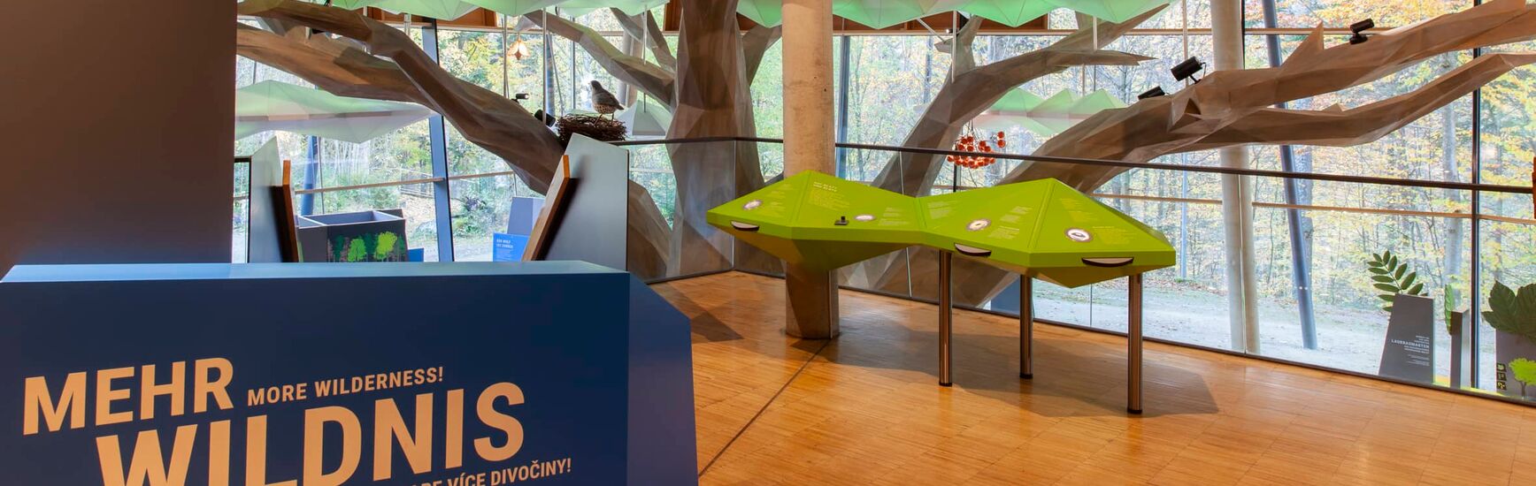 Lichtdurchfluteter Innenbereich mit futuristischen Baumstrukturen und farbig beleuchteten „Blätterdächern“ in der neuen Ausstellung im Haus zur Wildnis.